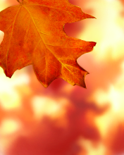autumn.jpg
